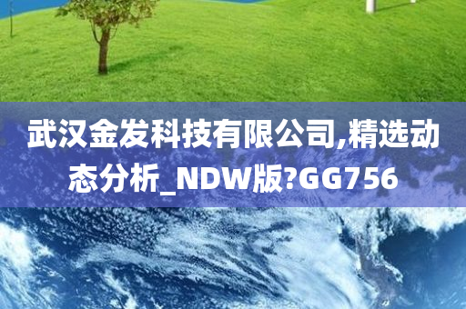 武汉金发科技有限公司,精选动态分析_NDW版?GG756