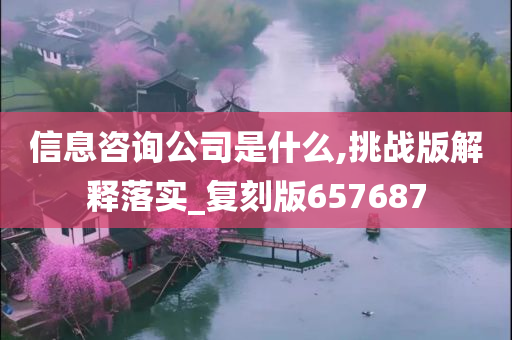 信息咨询公司是什么,挑战版解释落实_复刻版657687