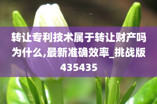 转让专利技术属于转让财产吗为什么,最新准确效率_挑战版435435