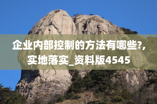 企业内部控制的方法有哪些?,实地落实_资料版4545