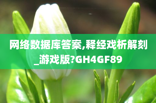 网络数据库答案,释经戏析解刻_游戏版?GH4GF89