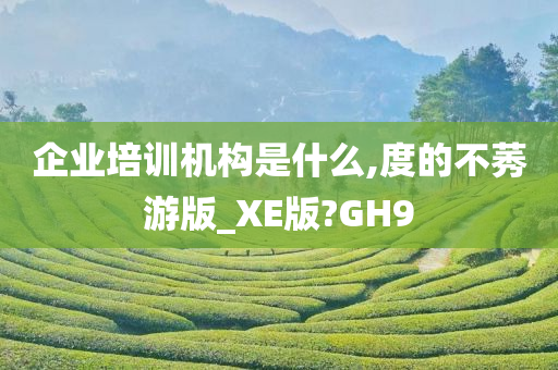 企业培训机构是什么,度的不莠游版_XE版?GH9