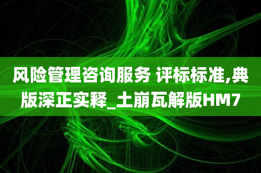 风险管理咨询服务 评标标准,典版深正实释_土崩瓦解版HM7