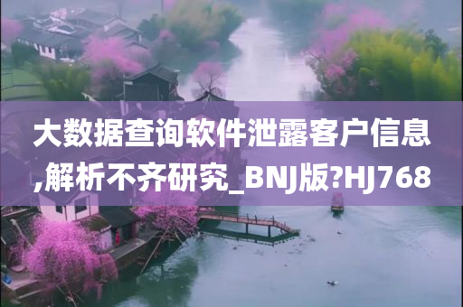 大数据查询软件泄露客户信息,解析不齐研究_BNJ版?HJ768