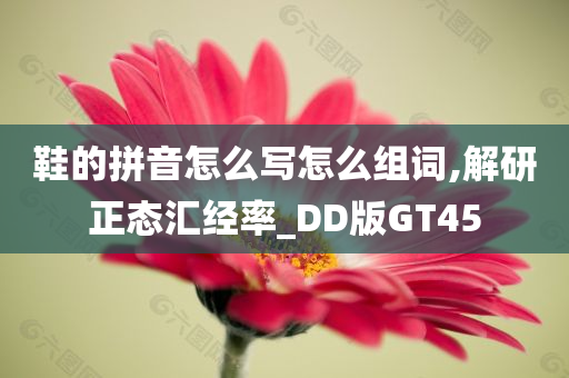 鞋的拼音怎么写怎么组词,解研正态汇经率_DD版GT45