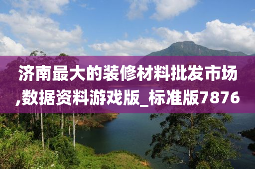 济南最大的装修材料批发市场,数据资料游戏版_标准版7876