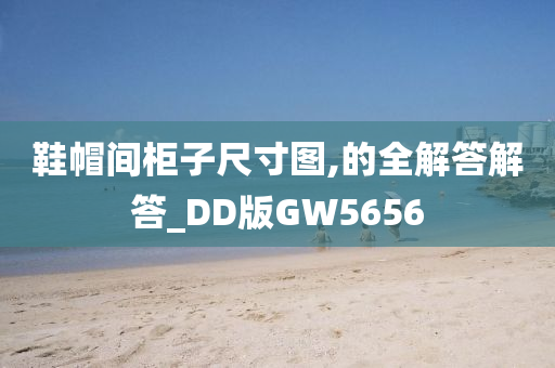 鞋帽间柜子尺寸图,的全解答解答_DD版GW5656