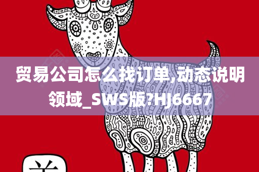 贸易公司怎么找订单,动态说明领域_SWS版?HJ6667