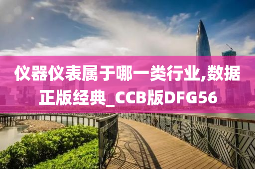 仪器仪表属于哪一类行业,数据正版经典_CCB版DFG56