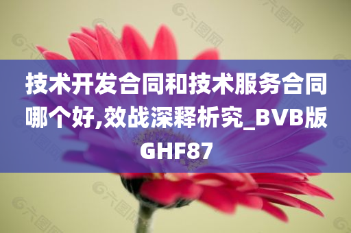 技术开发合同和技术服务合同哪个好,效战深释析究_BVB版GHF87