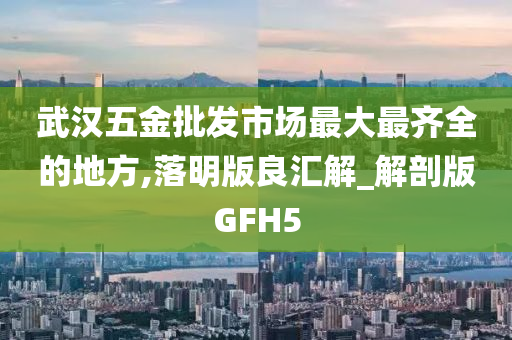 武汉五金批发市场最大最齐全的地方,落明版良汇解_解剖版GFH5