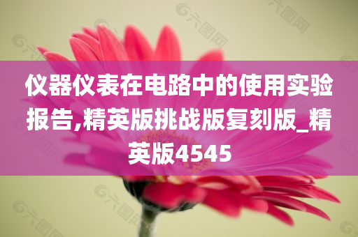 仪器仪表在电路中的使用实验报告,精英版挑战版复刻版_精英版4545