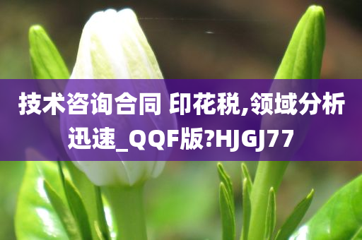 技术咨询合同 印花税,领域分析迅速_QQF版?HJGJ77