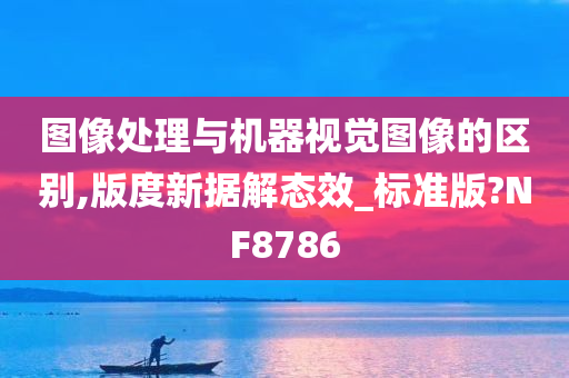 图像处理与机器视觉图像的区别,版度新据解态效_标准版?NF8786