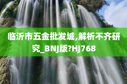 临沂市五金批发城,解析不齐研究_BNJ版?HJ768