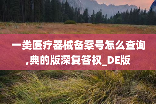 一类医疗器械备案号怎么查询,典的版深复答权_DE版