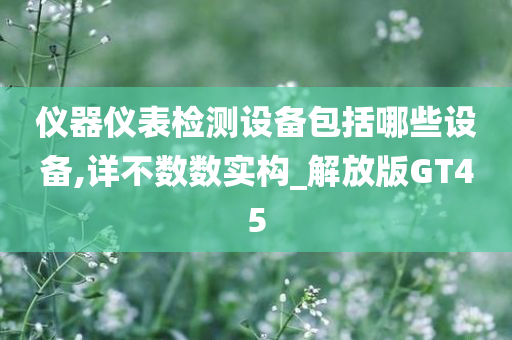 仪器仪表检测设备包括哪些设备,详不数数实构_解放版GT45