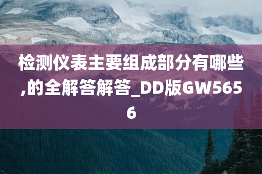 检测仪表主要组成部分有哪些,的全解答解答_DD版GW5656