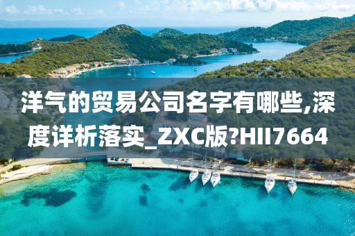 洋气的贸易公司名字有哪些,深度详析落实_ZXC版?HII7664