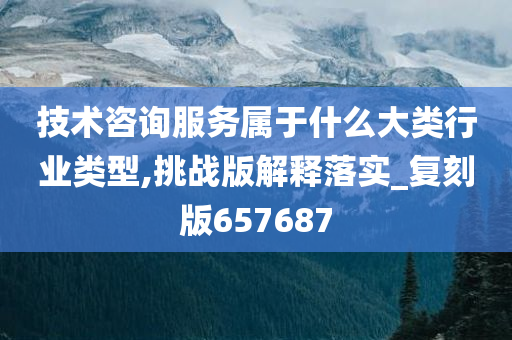 技术咨询服务属于什么大类行业类型,挑战版解释落实_复刻版657687