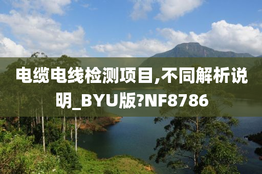 电缆电线检测项目,不同解析说明_BYU版?NF8786