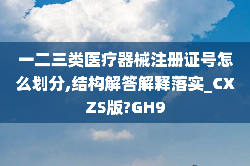 一二三类医疗器械注册证号怎么划分,结构解答解释落实_CXZS版?GH9