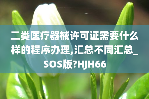 二类医疗器械许可证需要什么样的程序办理,汇总不同汇总_SOS版?HJH66