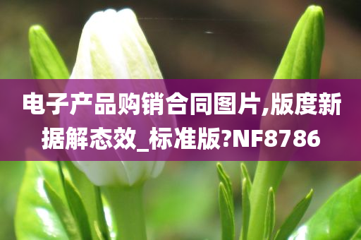 电子产品购销合同图片,版度新据解态效_标准版?NF8786