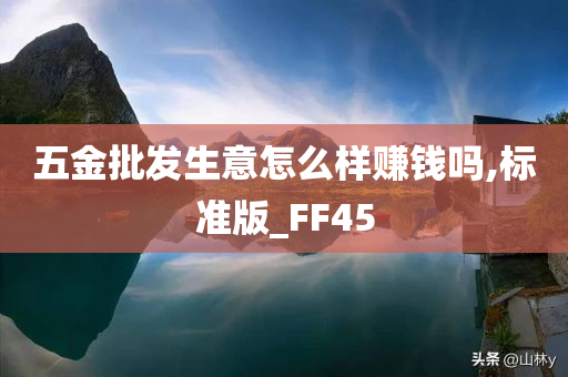 五金批发生意怎么样赚钱吗,标准版_FF45