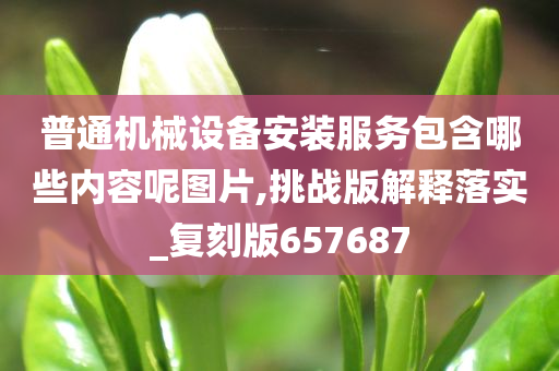 普通机械设备安装服务包含哪些内容呢图片,挑战版解释落实_复刻版657687