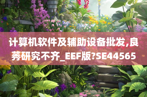 计算机软件及辅助设备批发,良莠研究不齐_EEF版?SE44565