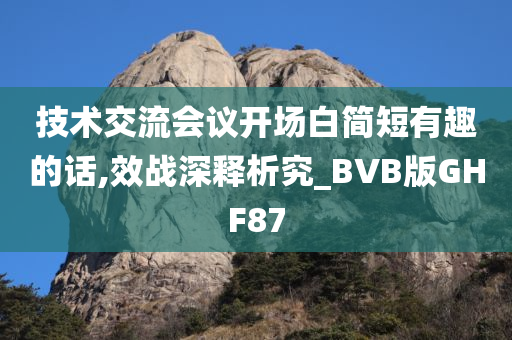 技术交流会议开场白简短有趣的话,效战深释析究_BVB版GHF87