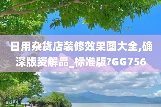 日用杂货店装修效果图大全,确深版资解品_标准版?GG756