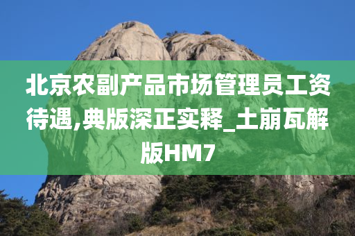 北京农副产品市场管理员工资待遇,典版深正实释_土崩瓦解版HM7