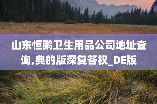 山东恒鹏卫生用品公司地址查询,典的版深复答权_DE版