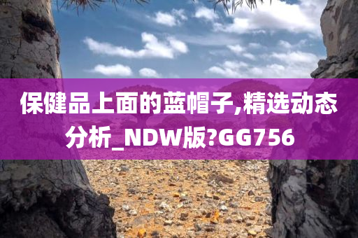 保健品上面的蓝帽子,精选动态分析_NDW版?GG756