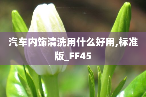 汽车内饰清洗用什么好用,标准版_FF45