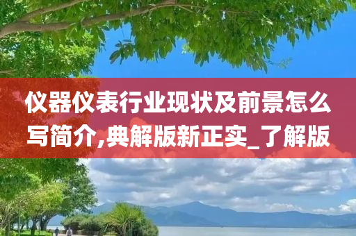 仪器仪表行业现状及前景怎么写简介,典解版新正实_了解版