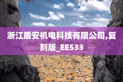 浙江盾安机电科技有限公司,复刻版_EE533