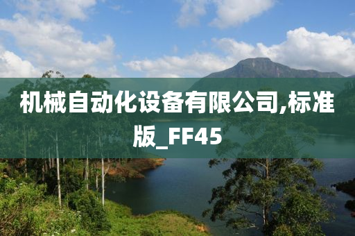 机械自动化设备有限公司,标准版_FF45