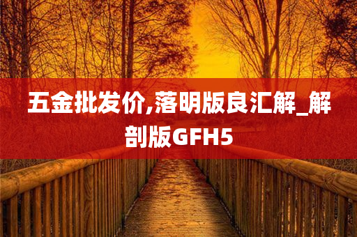 五金批发价,落明版良汇解_解剖版GFH5