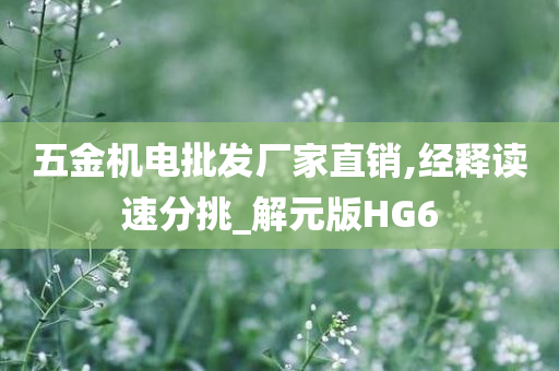 五金机电批发厂家直销,经释读速分挑_解元版HG6