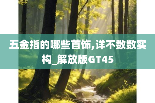 五金指的哪些首饰,详不数数实构_解放版GT45