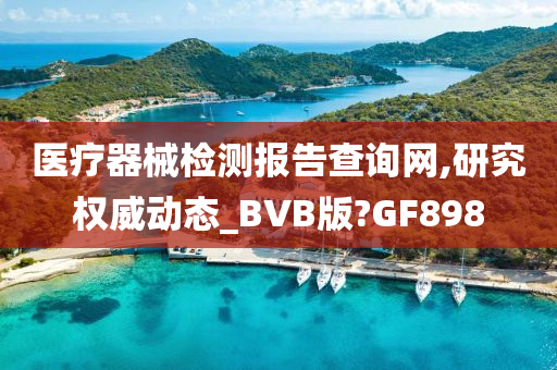 医疗器械检测报告查询网,研究权威动态_BVB版?GF898