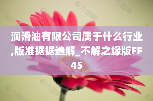 润滑油有限公司属于什么行业,版准据据选解_不解之缘版FF45