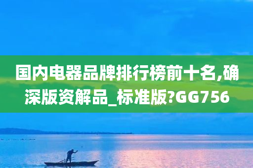 国内电器品牌排行榜前十名,确深版资解品_标准版?GG756