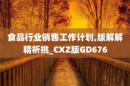 食品行业销售工作计划,版解解精析挑_CXZ版GD676