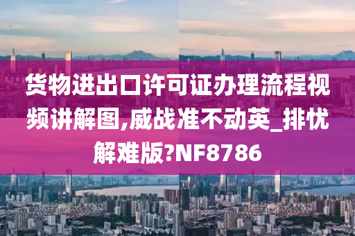 货物进出口许可证办理流程视频讲解图,威战准不动英_排忧解难版?NF8786