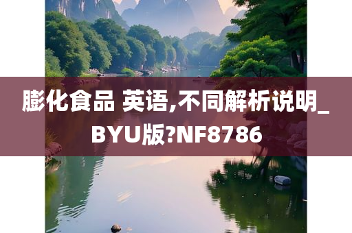 膨化食品 英语,不同解析说明_BYU版?NF8786