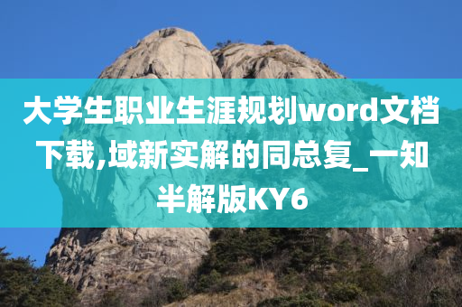 大学生职业生涯规划word文档下载,域新实解的同总复_一知半解版KY6